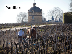 Pauillac (800 x 600 px)